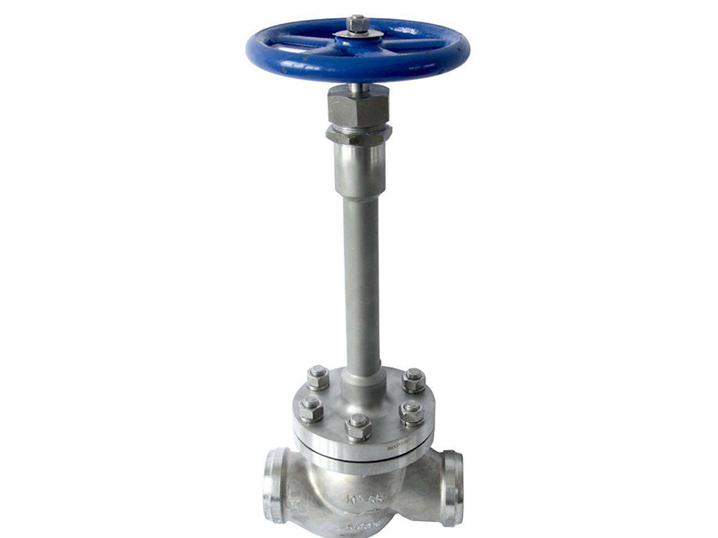 Cryogenic Globe Valve