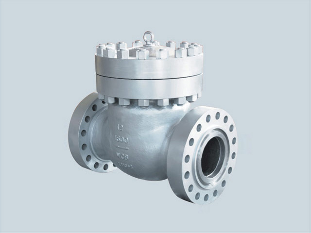 Swing Check Valve