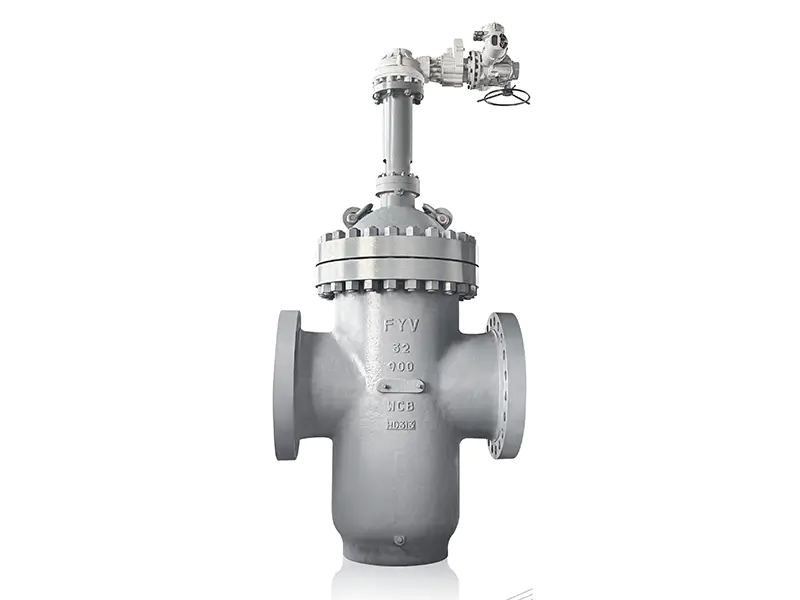 Globe Valves
