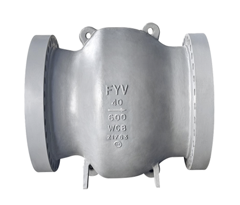 Check Valve