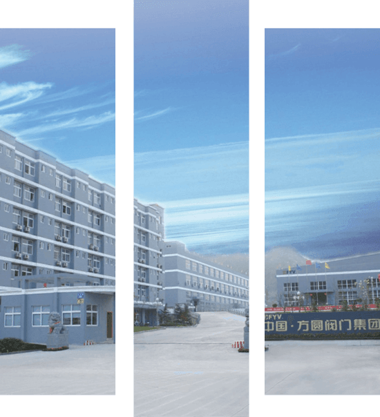 Fangyuan Valve Group Co., Ltd.